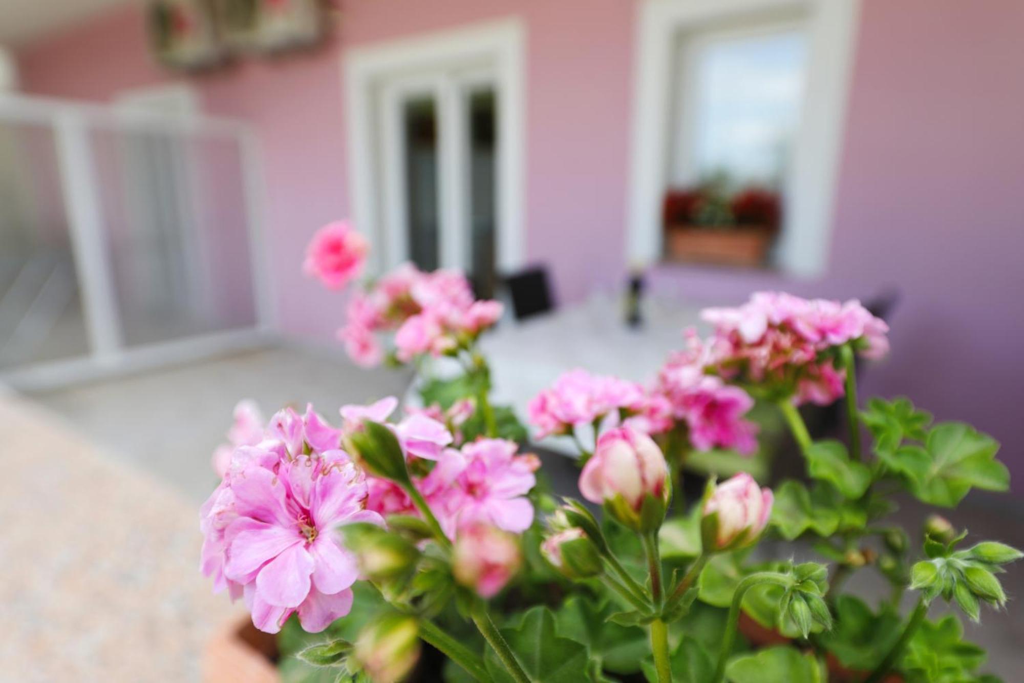 Villa Rajna Starigrad Paklenica Værelse billede