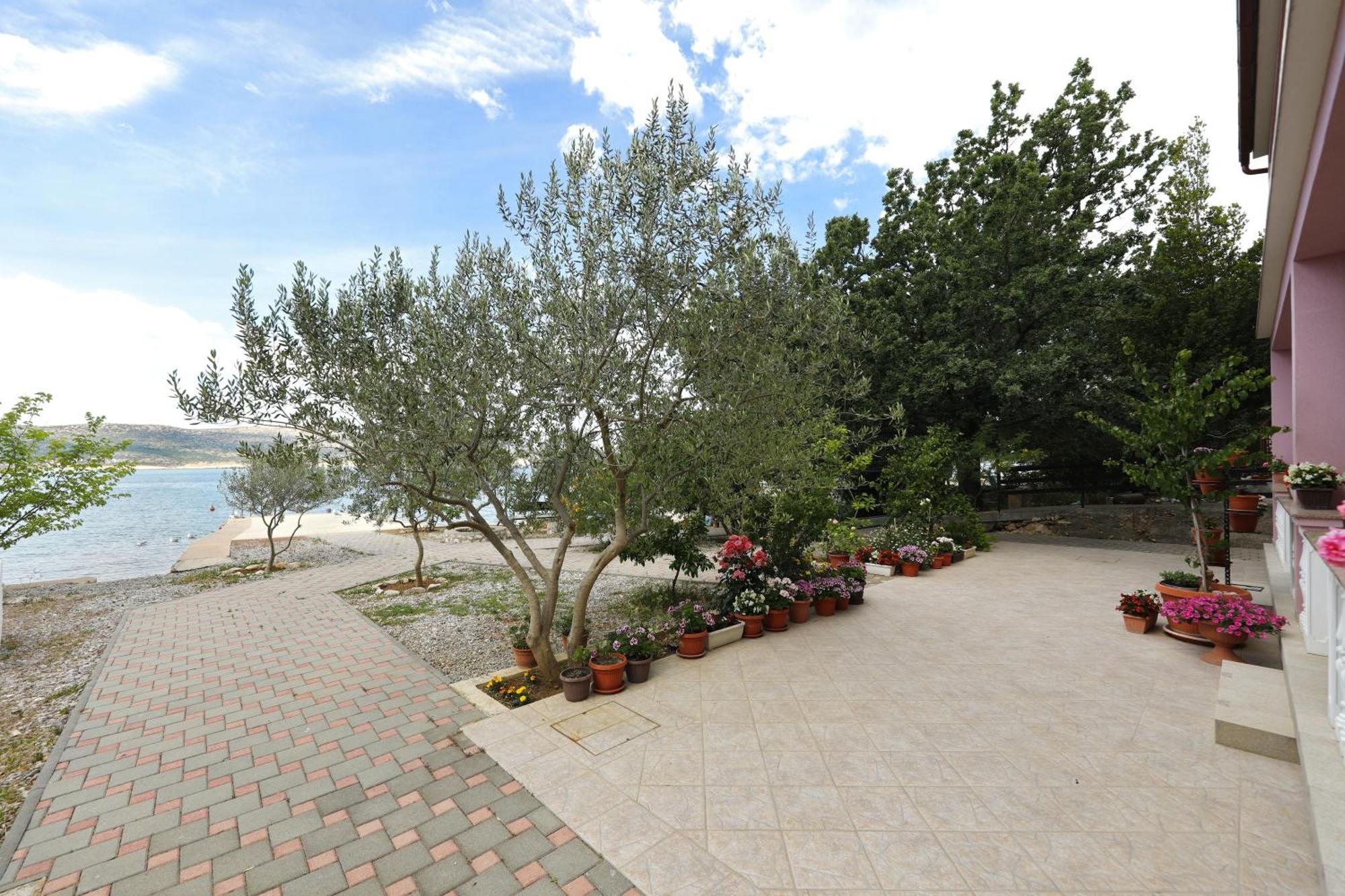 Villa Rajna Starigrad Paklenica Værelse billede