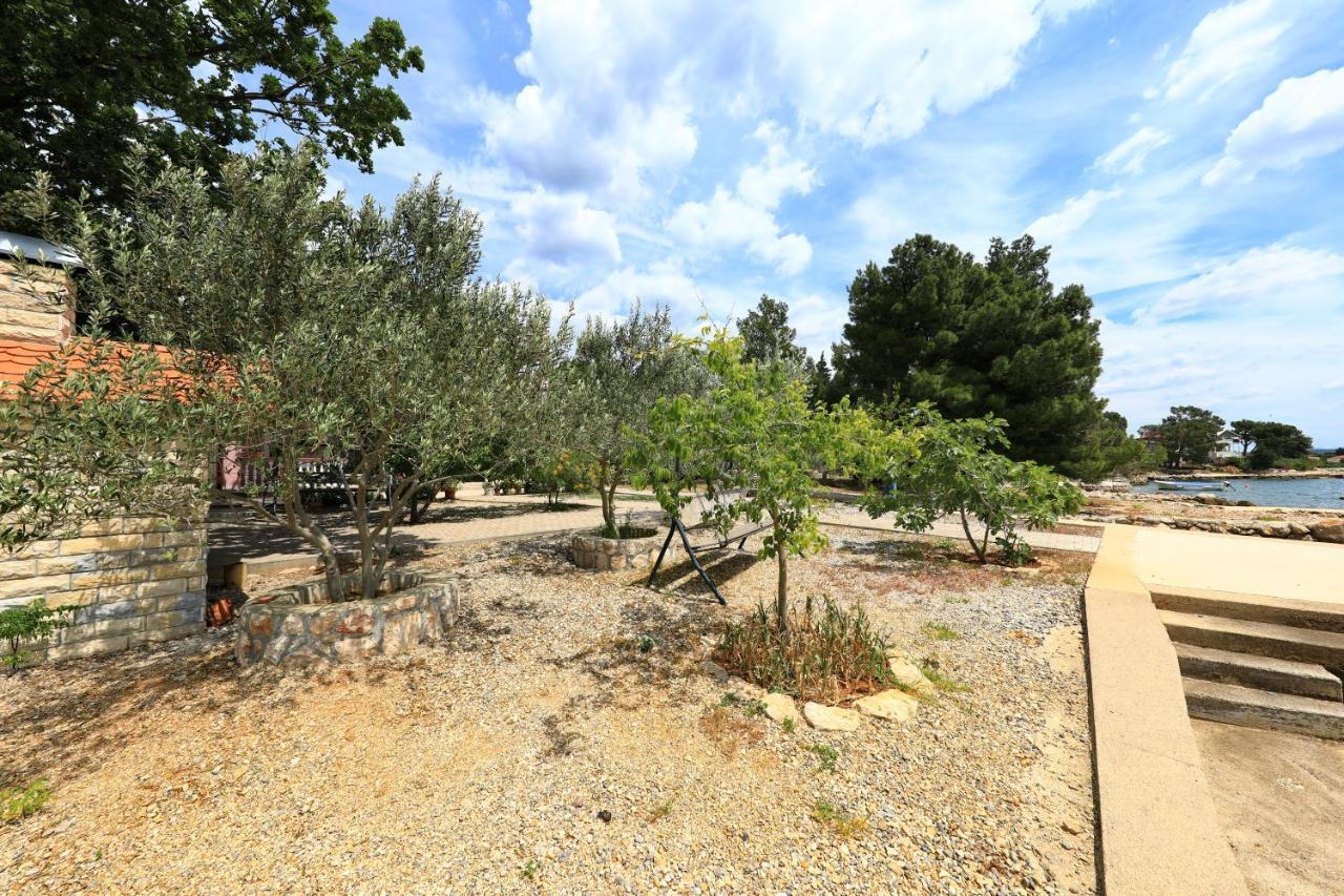Villa Rajna Starigrad Paklenica Eksteriør billede